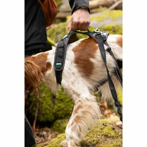Dog Harness SYMBIOZ Black XS - Домашни Животни<<<Дом Градина<<<BigBuy&&&Пътуване и разходки<<<Домашни Животни<<<Дом