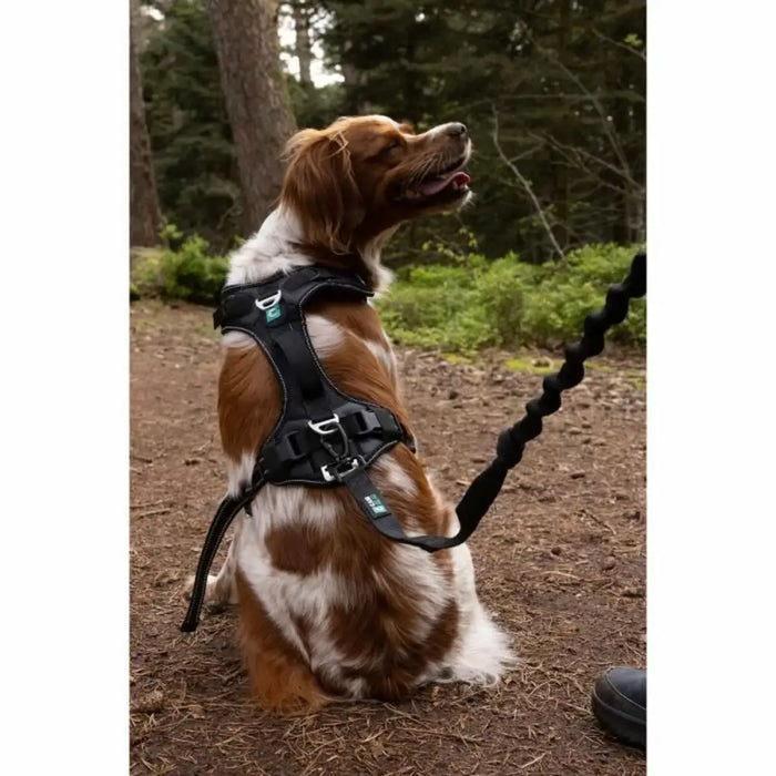 Dog Harness SYMBIOZ Black XXS - Домашни Животни<<<Дом Градина<<<BigBuy&&&Пътуване и разходки<<<Домашни Животни<<<Дом