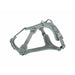 Dog Harness Trixie Active Green XS/S - Пътуване и разходки<<<Домашни Животни<<<Дом Градина<<<BigBuy