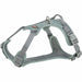Dog Harness Trixie Active Green XS/S - Пътуване и разходки<<<Домашни Животни<<<Дом Градина<<<BigBuy