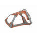 Dog Harness Trixie Active Orange XS/S - Домашни Животни<<<Дом Градина<<<BigBuy&&&Пътуване и разходки<<<Домашни