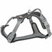 Dog Harness Trixie Active Premium Black L - Домашни Животни<<<Дом Градина<<<BigBuy&&&Пътуване и разходки<<<Домашни