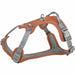Dog Harness Trixie Active Premium Orange L - Домашни Животни<<<Дом Градина<<<BigBuy&&&Пътуване и разходки<<<Домашни