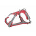 Dog Harness Trixie Active Premium Red M/L - Домашни Животни<<<Дом Градина<<<BigBuy&&&Пътуване и разходки<<<Домашни