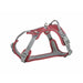 Dog Harness Trixie Active Premium Red M/L - Домашни Животни<<<Дом Градина<<<BigBuy&&&Пътуване и разходки<<<Домашни