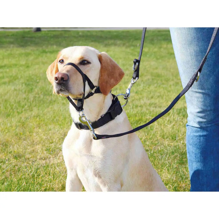 Dog Harness Trixie Black 22 cm - Домашни Животни<<<Дом Градина<<<BigBuy&&&Пътуване и разходки<<<Домашни Животни<<<Дом