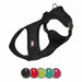 Dog Harness Trixie Comfort Sof Fuchsia S - Домашни Животни<<<Дом Градина<<<BigBuy&&&Пътуване и разходки<<<Домашни