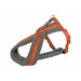 Dog Harness Trixie Confort Premium Orange S/M - Домашни Животни<<<Дом Градина<<<BigBuy&&&Пътуване и разходки<<<Домашни