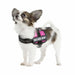 Dog Harness Trixie Fuchsia 1 Baby 1 (XS) 26-36 cm - Домашни Животни<<<Дом Градина<<<BigBuy&&&Пътуване и