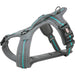 Dog Harness Trixie Fusion Confort Graphite Azul Océano L/XL - Пътуване и разходки<<<Домашни Животни<<<Дом