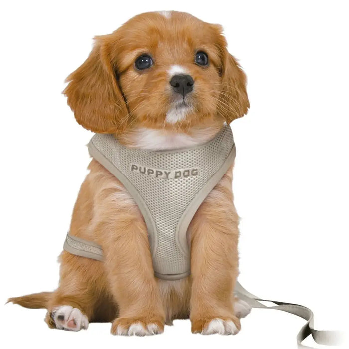 Dog Harness Trixie Junior Light grey M/L - Домашни Животни<<<Дом Градина<<<BigBuy&&&Пътуване и разходки<<<Домашни