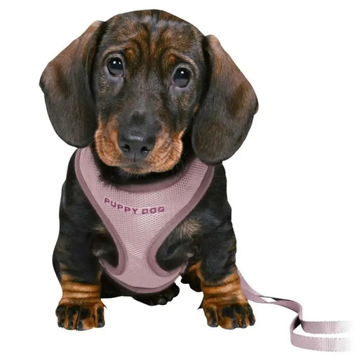 Dog Harness Trixie Junior Lilac - Домашни Животни<<<Дом Градина<<<BigBuy&&&Пътуване и разходки<<<Домашни Животни<<<Дом