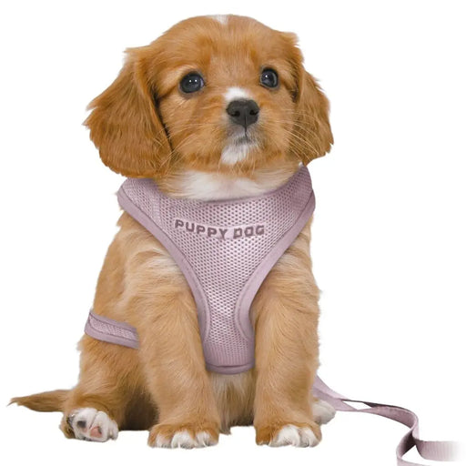 Dog Harness Trixie Junior Lilac M/L - Домашни Животни<<<Дом Градина<<<BigBuy&&&Пътуване и разходки<<<Домашни