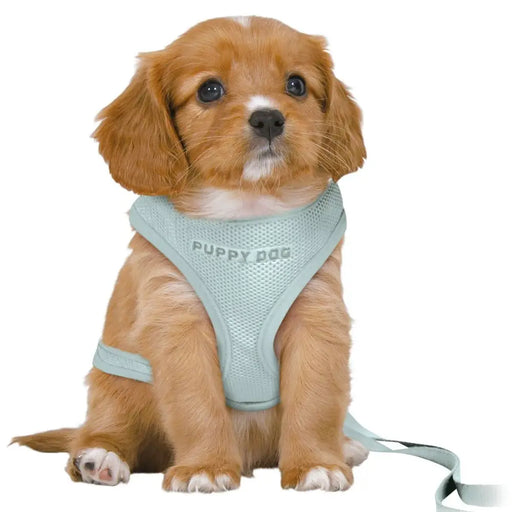 Dog Harness Trixie Junior Mint M/L - Домашни Животни<<<Дом Градина<<<BigBuy&&&Пътуване и разходки<<<Домашни