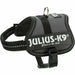 Dog Harness Trixie Power Anthracite XS - Домашни Животни<<<Дом Градина<<<BigBuy&&&Пътуване и разходки<<<Домашни
