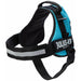 Dog Harness Trixie Power Azul Océano XL 3 - Домашни Животни<<<Дом Градина<<<BigBuy&&&Пътуване и разходки<<<Домашни