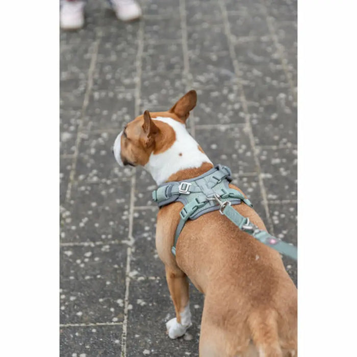 Dog Harness Trixie Premium FlexMesh L - Домашни Животни<<<Дом Градина<<<BigBuy&&&Пътуване и разходки<<<Домашни