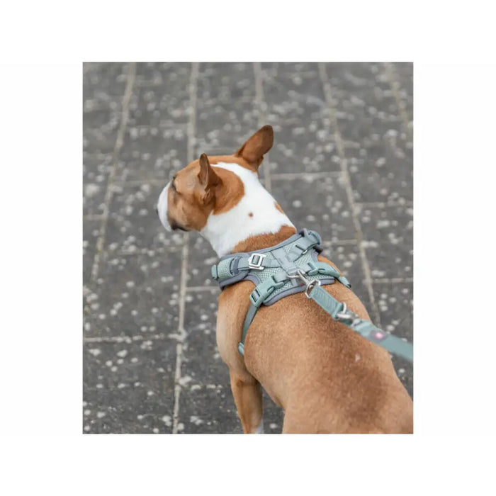 Dog Harness Trixie Premium FlexMesh S-M - Домашни Животни<<<Дом Градина<<<BigBuy&&&Пътуване и разходки<<<Домашни