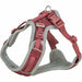 Dog Harness Trixie Premium FlexMesh XS/S - Домашни Животни<<<Дом Градина<<<BigBuy&&&Пътуване и разходки<<<Домашни