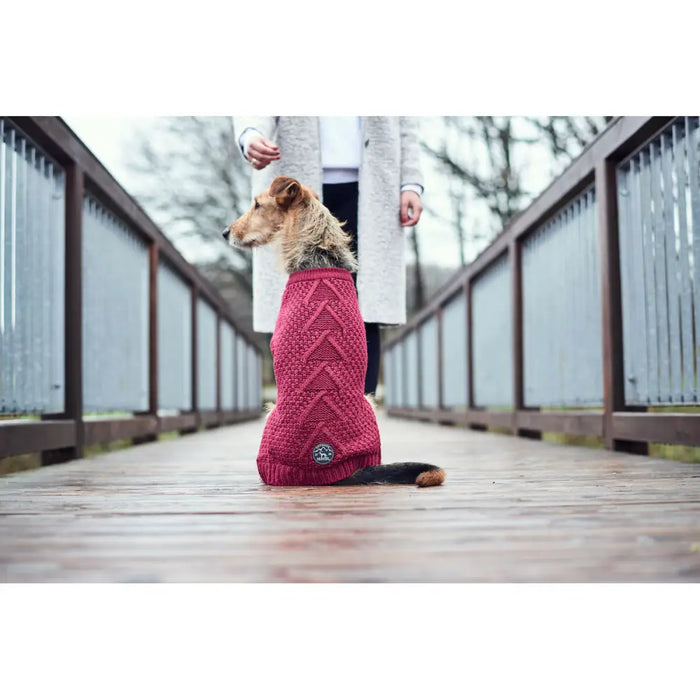 Dog Jumper Hunter Malmö Burgundy - Домашни Животни<<<Дом Градина<<<BigBuy&&&Здраве и хигиена<<<Домашни Животни<<<Дом
