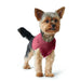 Dog Jumper Hunter Malmö Burgundy - Домашни Животни<<<Дом Градина<<<BigBuy&&&Здраве и хигиена<<<Домашни Животни<<<Дом
