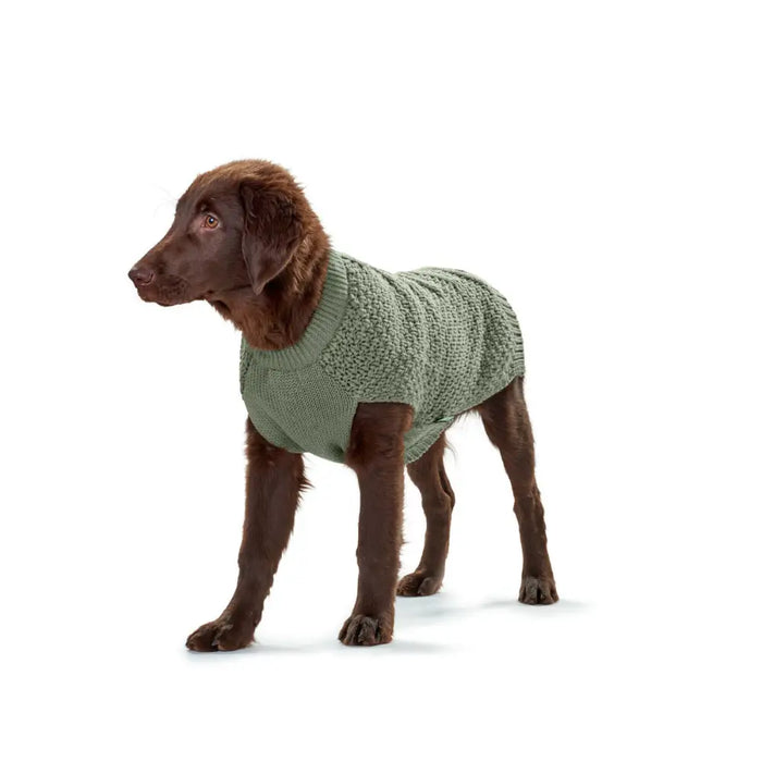 Dog Jumper Hunter Malmö Green - Домашни Животни<<<Дом Градина<<<BigBuy&&&Здраве и хигиена<<<Домашни Животни<<<Дом