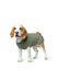 Dog Jumper Hunter Malmö Green - Домашни Животни<<<Дом Градина<<<BigBuy&&&Здраве и хигиена<<<Домашни Животни<<<Дом