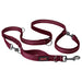 Dog Lead Company of Animals Burgundy S - Домашни Животни<<<Дом Градина<<<BigBuy&&&Пътуване и разходки<<<Домашни