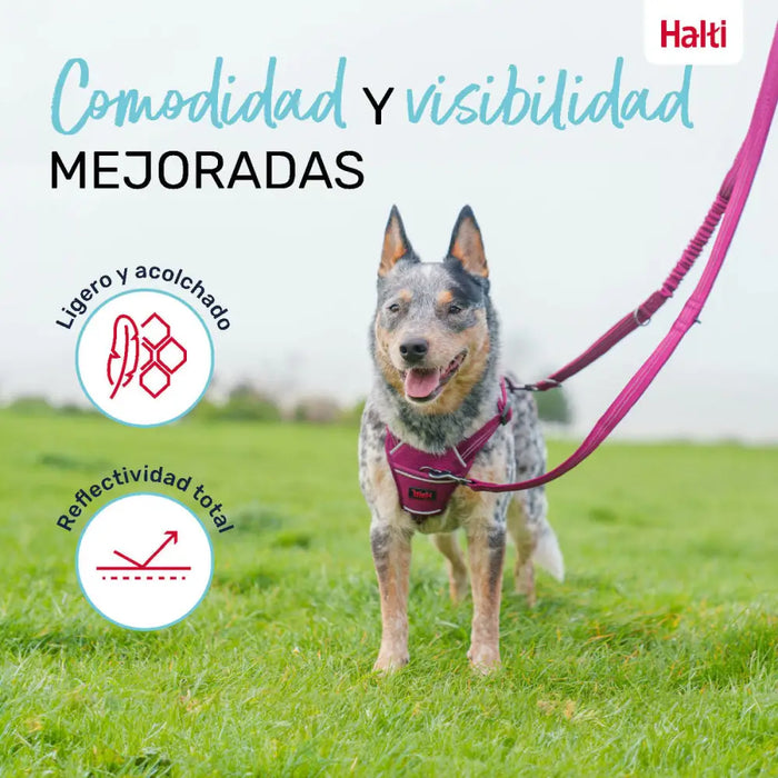 Dog Lead Company of Animals Turquoise L - Домашни Животни<<<Дом Градина<<<BigBuy&&&Пътуване и разходки<<<Домашни