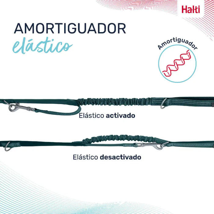 Dog Lead Company of Animals Turquoise L - Домашни Животни<<<Дом Градина<<<BigBuy&&&Пътуване и разходки<<<Домашни
