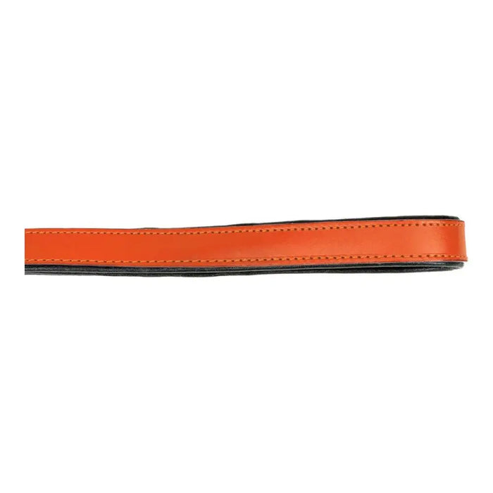 Dog Lead Gloria 1.8 x 100 cm Orange - Домашни Животни<<<Дом Градина<<<BigBuy&&&Пътуване и разходки<<<Домашни