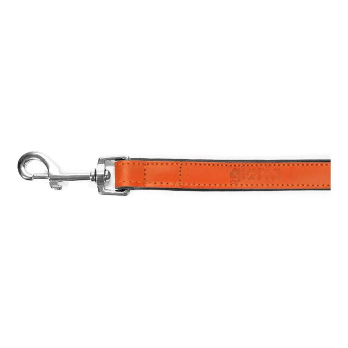 Dog Lead Gloria 1.8 x 100 cm Orange - Домашни Животни<<<Дом Градина<<<BigBuy&&&Пътуване и разходки<<<Домашни