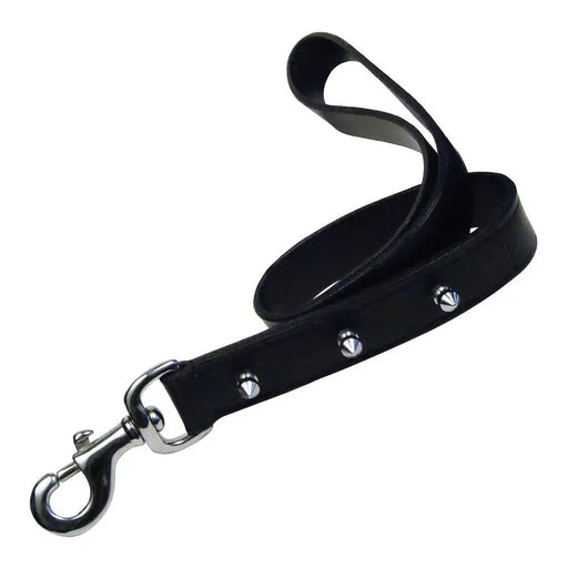 Dog Lead Gloria Black 60 cm - Домашни Животни<<<Дом Градина<<<BigBuy&&&Пътуване и разходки<<<Домашни Животни<<<Дом
