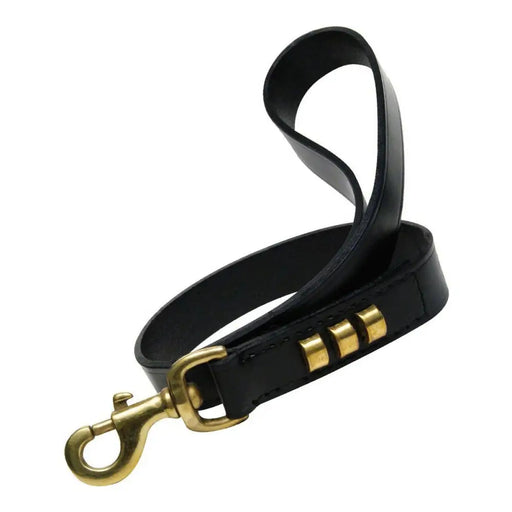 Dog Lead Gloria Duna 2,5 x 60 cm Black - Домашни Животни<<<Дом Градина<<<BigBuy&&&Пътуване и разходки<<<Домашни