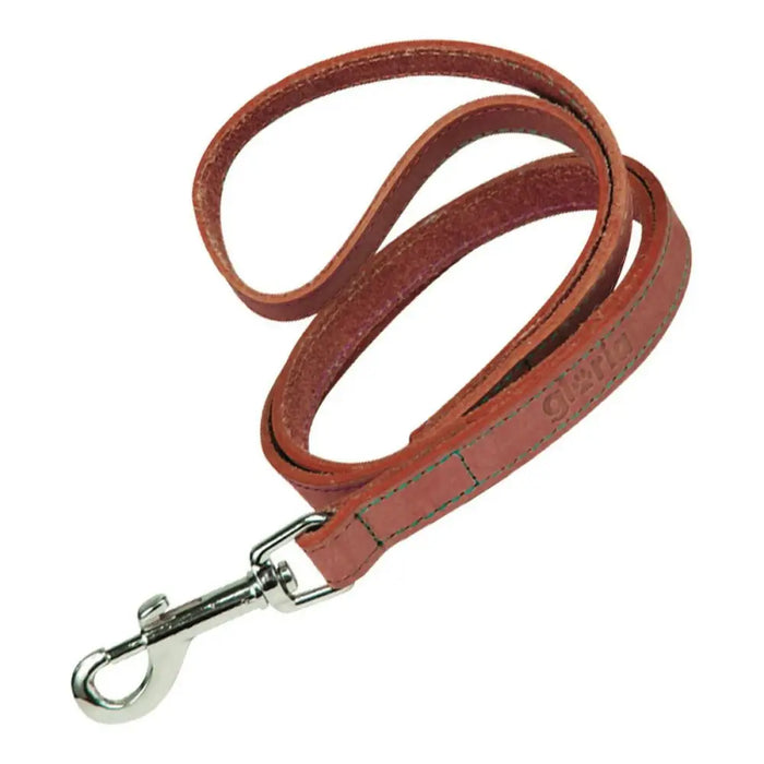 Dog Lead Gloria Oasis 2.1 x 100 cm Red - Домашни Животни<<<Дом Градина<<<BigBuy&&&Пътуване и разходки<<<Домашни