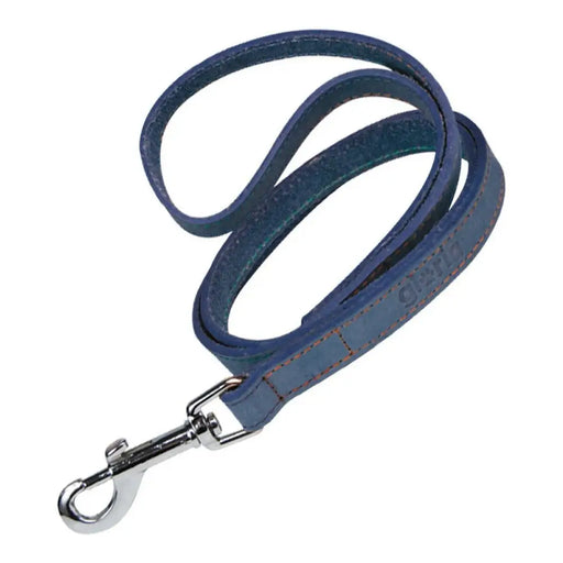 Dog Lead Gloria Oasis 3 x 60 cm Blue - Домашни Животни<<<Дом Градина<<<BigBuy&&&Пътуване и разходки<<<Домашни