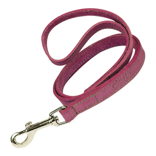 Dog Lead Gloria Oasis 3 x 60 cm Pink - Домашни Животни<<<Дом Градина<<<BigBuy&&&Пътуване и разходки<<<Домашни