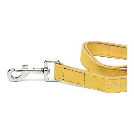 Dog Lead Gloria Oasis 3 x 60 cm Yellow - Домашни Животни<<<Дом Градина<<<BigBuy&&&Пътуване и разходки<<<Домашни