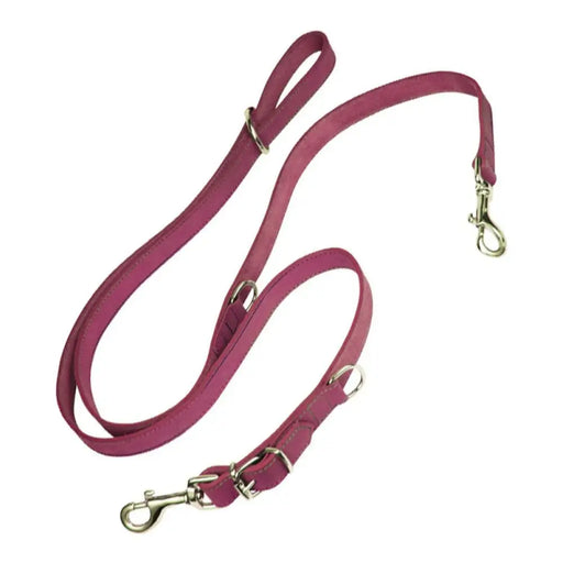 Dog Lead Gloria Oasis Multiple 2.1 x 200 cm Pink - Домашни Животни<<<Дом Градина<<<BigBuy&&&Пътуване и