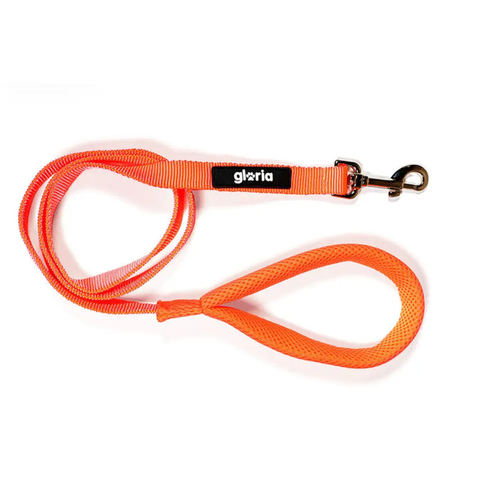 Dog Lead Gloria Orange S - Домашни Животни<<<Дом Градина<<<BigBuy&&&Пътуване и разходки<<<Домашни Животни<<<Дом