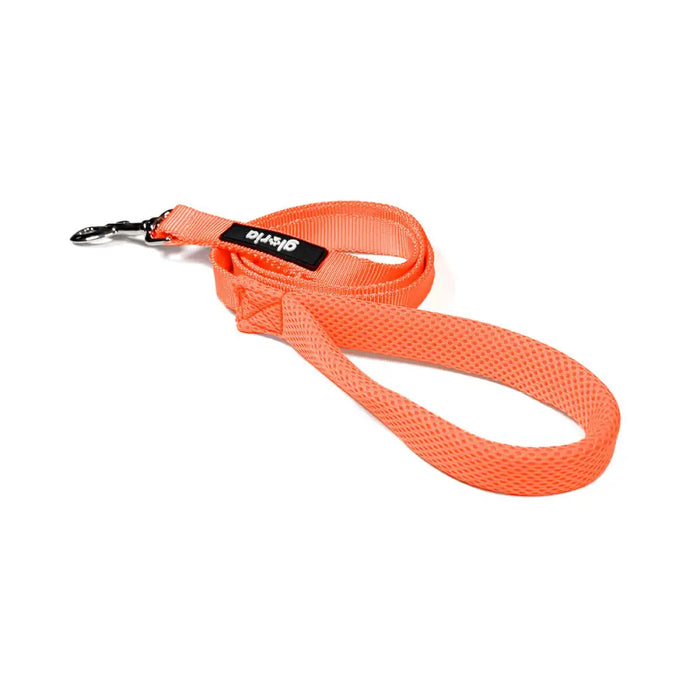 Dog Lead Gloria Orange S - Домашни Животни<<<Дом Градина<<<BigBuy&&&Пътуване и разходки<<<Домашни Животни<<<Дом