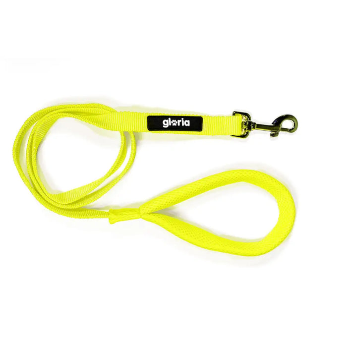 Dog Lead Gloria Yellow S - Домашни Животни<<<Дом Градина<<<BigBuy&&&Пътуване и разходки<<<Домашни Животни<<<Дом