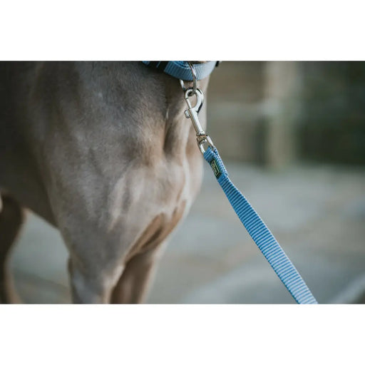 Dog Lead Hunter Blue 100 cm - Домашни Животни<<<Дом Градина<<<BigBuy&&&Пътуване и разходки<<<Домашни Животни<<<Дом
