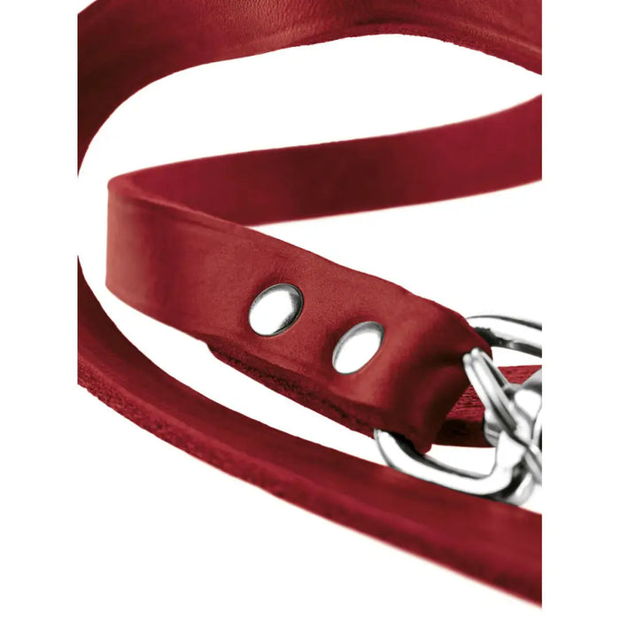Dog Lead Hunter Red 2 m Adjustable Leather - Домашни Животни<<<Дом Градина<<<BigBuy&&&Пътуване и разходки<<<Домашни