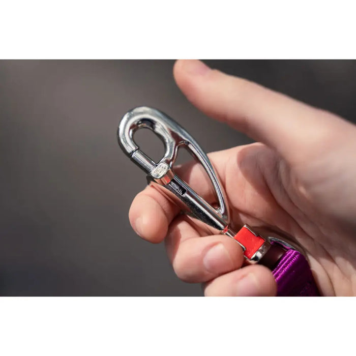 Dog Lead Red Dingo Fuchsia - Домашни Животни<<<Дом Градина<<<BigBuy&&&Пътуване и разходки<<<Домашни Животни<<<Дом