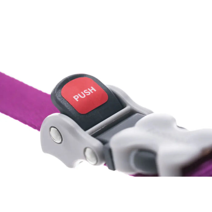 Dog Lead Red Dingo Fuchsia - Домашни Животни<<<Дом Градина<<<BigBuy&&&Пътуване и разходки<<<Домашни Животни<<<Дом