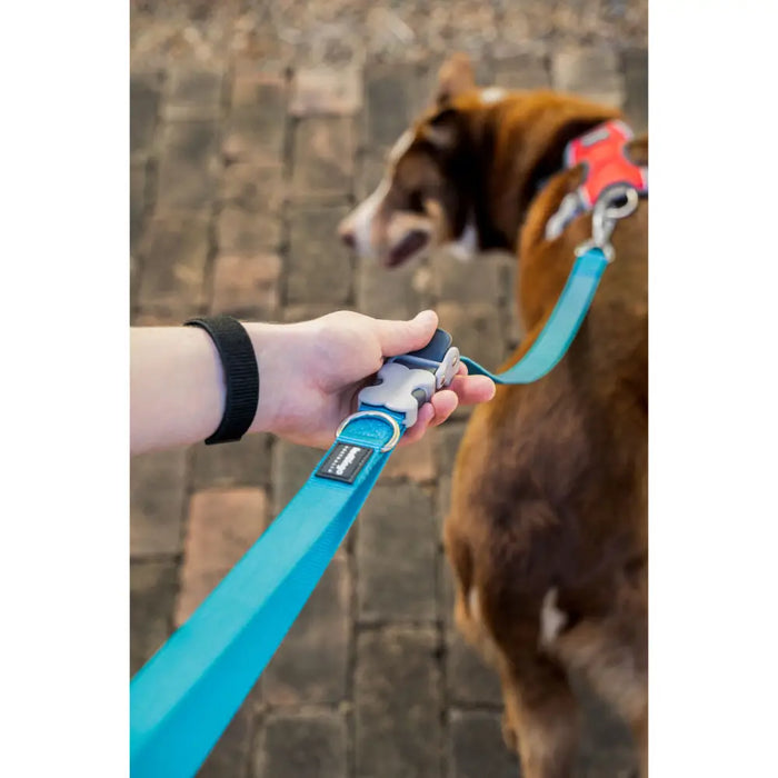 Dog Lead Red Dingo Purple - Домашни Животни<<<Дом Градина<<<BigBuy&&&Пътуване и разходки<<<Домашни Животни<<<Дом