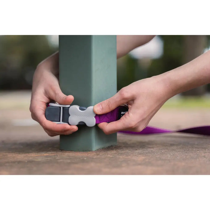 Dog Lead Red Dingo Purple - Домашни Животни<<<Дом Градина<<<BigBuy&&&Пътуване и разходки<<<Домашни Животни<<<Дом