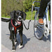 Dog Lead Trixie S/M Reflective Bicycle - Пътуване и разходки<<<Домашни Животни<<<Дом Градина<<<BigBuy