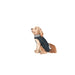 Dog raincoat Dog Gone Smart Black 30 cm - Домашни Животни<<<Дом Градина<<<BigBuy&&&Пътуване и разходки<<<Домашни